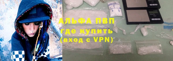 PSILOCYBIN Медвежьегорск