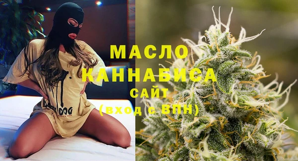 гашик Мегион