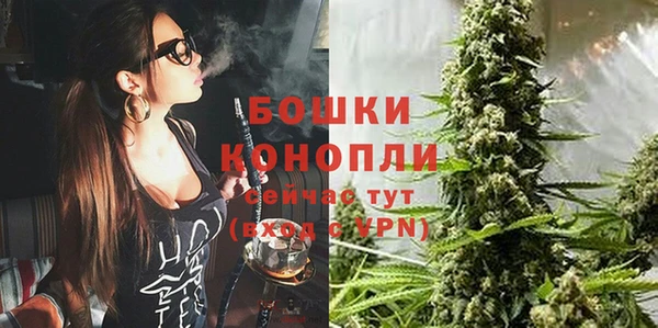 гашик Мегион