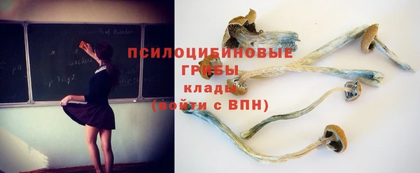 гашик Мегион