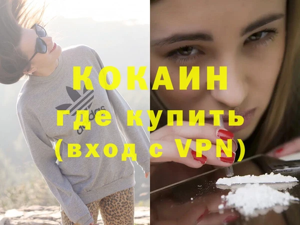 гашик Мегион