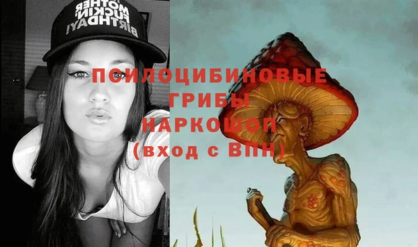 PSILOCYBIN Медвежьегорск