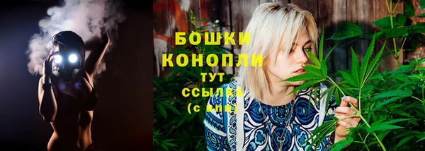 гашик Мегион