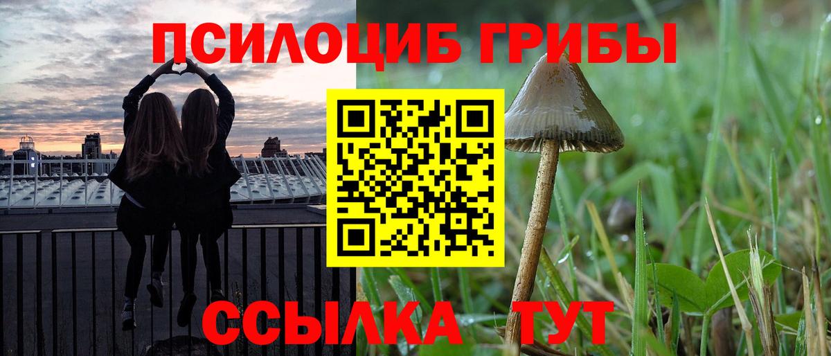 Псилоцибиновые грибы прущие грибы Лянтор